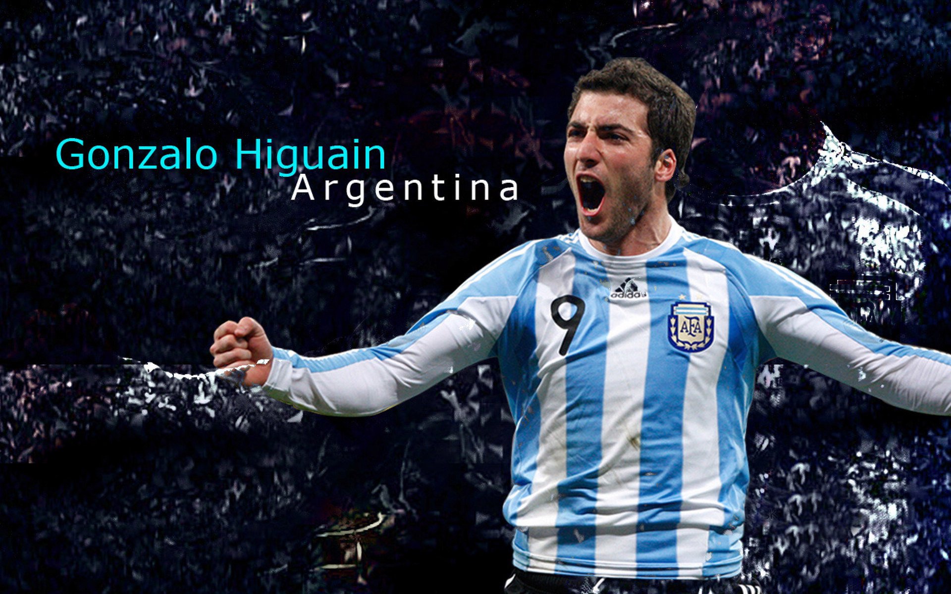 世界游泳赛事最新成绩